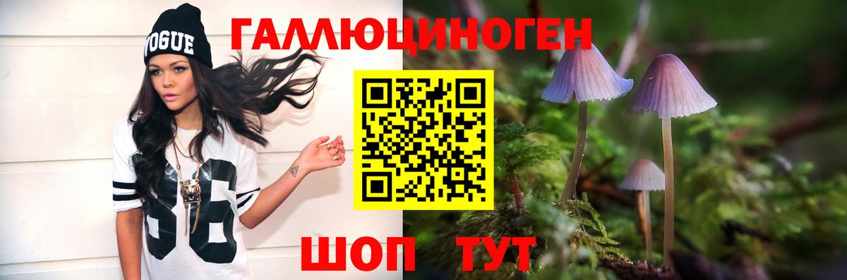 Псилоцибиновые грибы GOLDEN TEACHER Мелеуз